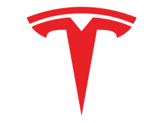 tesla badge